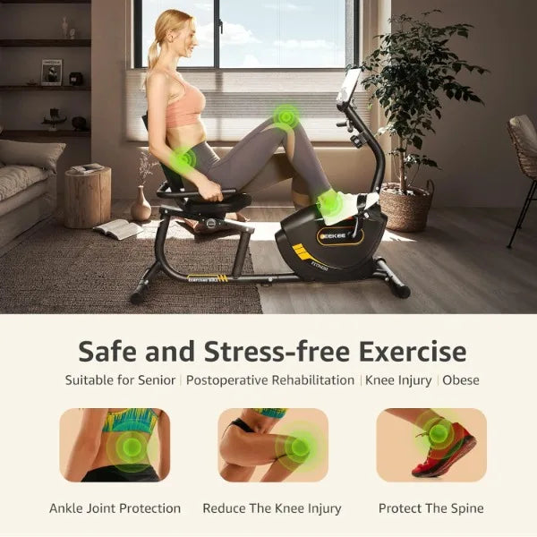 Recumbent Exercise Bike Magnetic Indoor Cycling