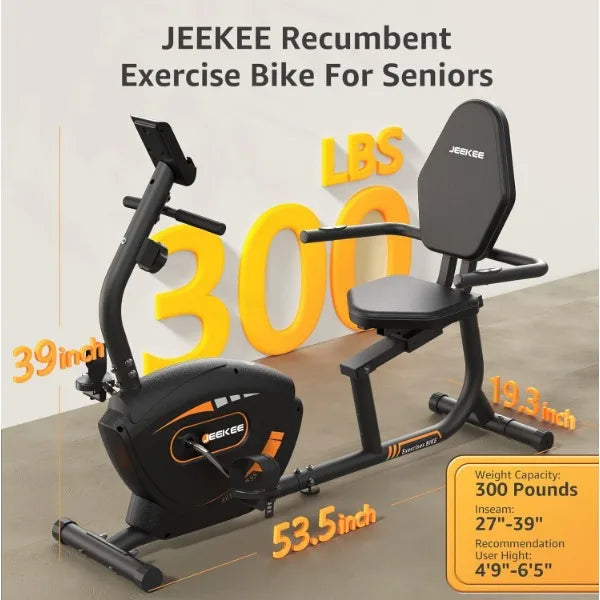 Recumbent Exercise Bike Magnetic Indoor Cycling